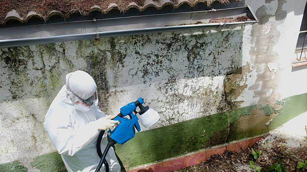 Clearance testing in Estero